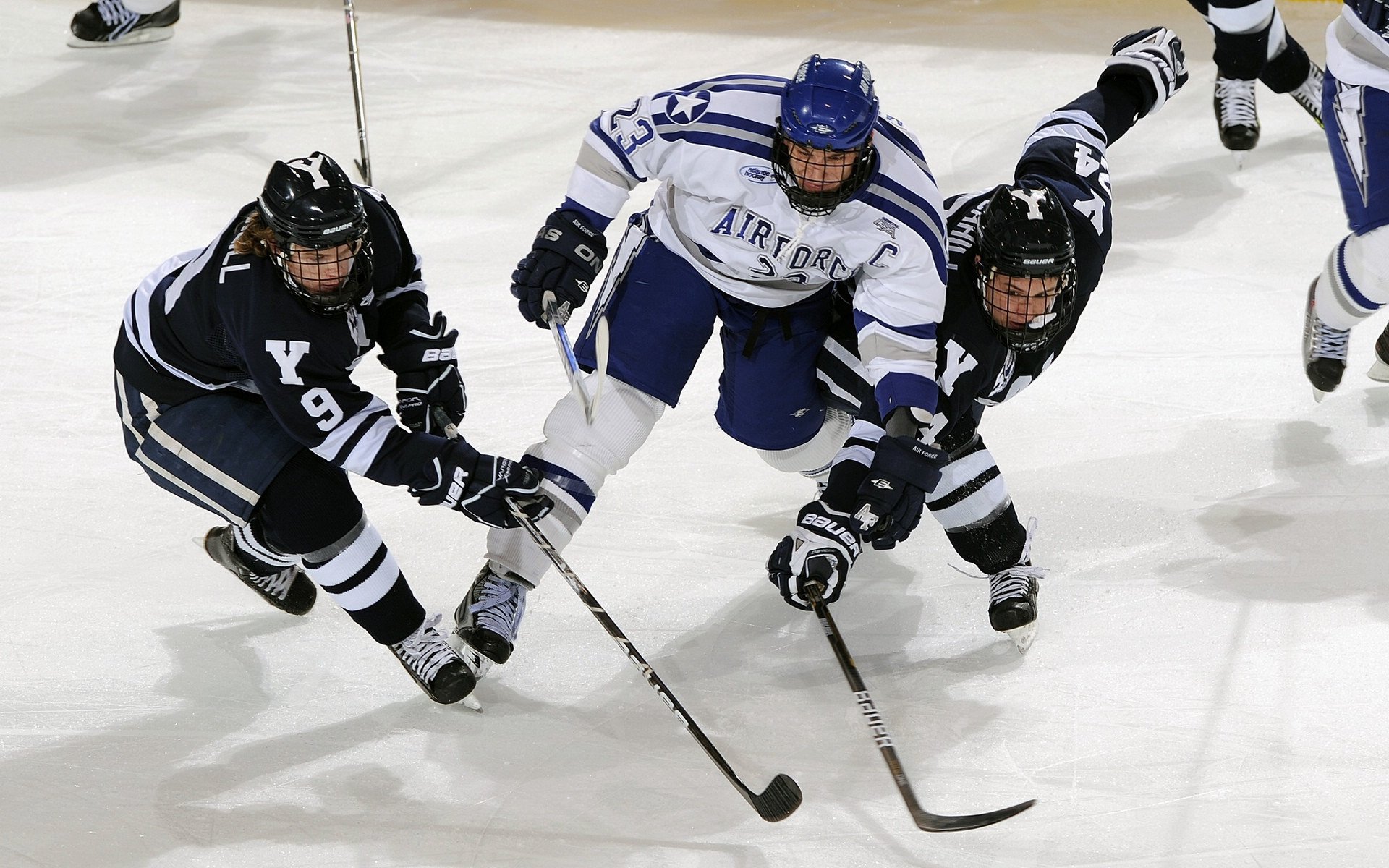 高校篮球精英挑战赛助力大学体育发展,大学校园篮球比赛